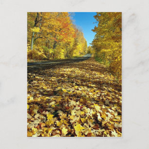 Postal Hojas de arce y Fortune Parkway, Parque Gatineau, 