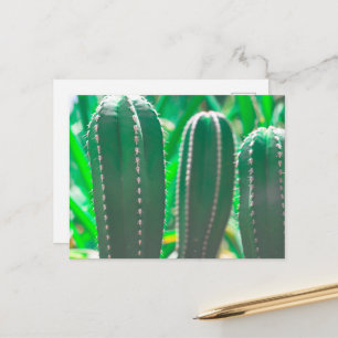 Postal Hojas de cactus verde pastel