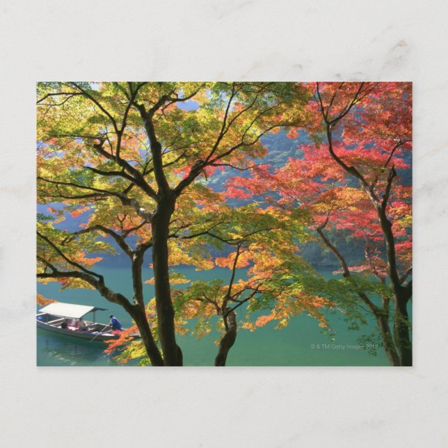 Postal Hojas de Colores (Anverso)