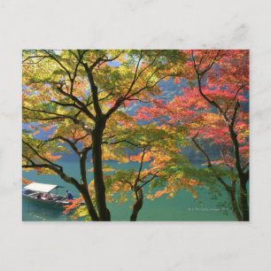 Postal Hojas de Colores