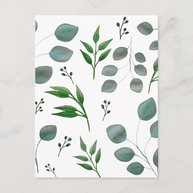 Postal Hojas de eucalipto (Anverso)