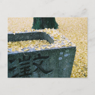 Postal Hojas de Ginkgo: Saijo, Japón