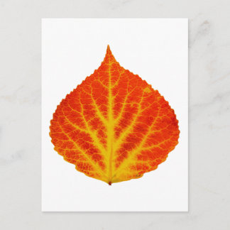 Postal Hojas de lápiz rojo y amarillo #10