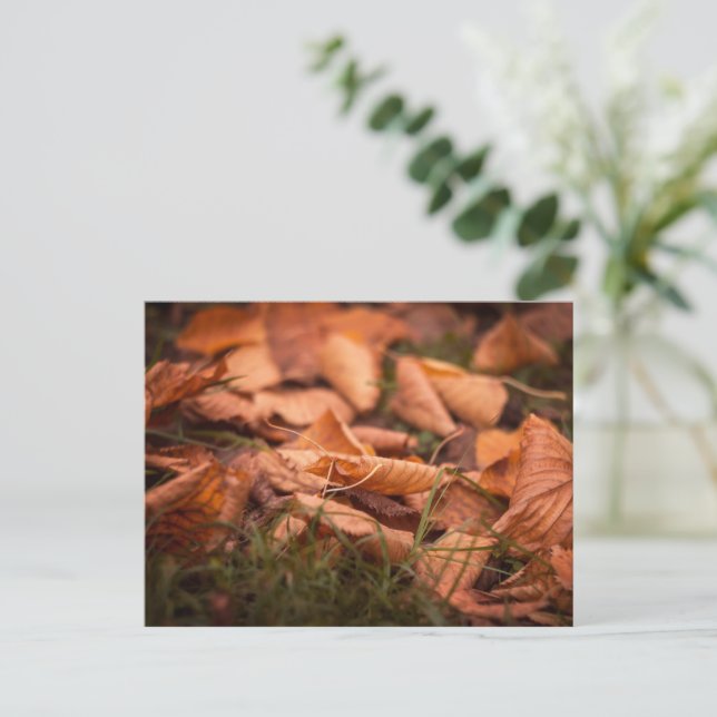 Postal Hojas de otoño (Anverso de pie)