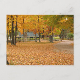 Postal Hojas de otoño