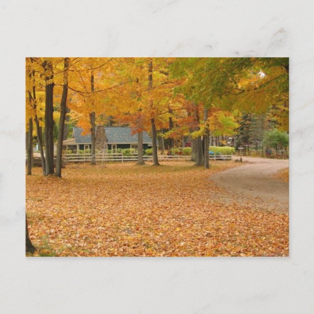 Postal Hojas de otoño (Anverso)