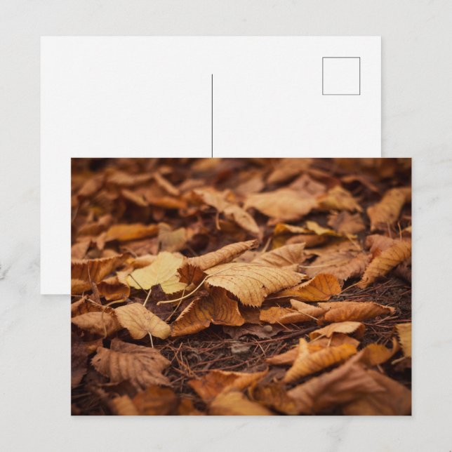 Postal Hojas de otoño (Anverso / Reverso)