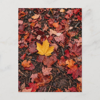Postal Hojas de Otoño
