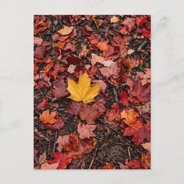 Postal Hojas de Otoño  (Anverso)
