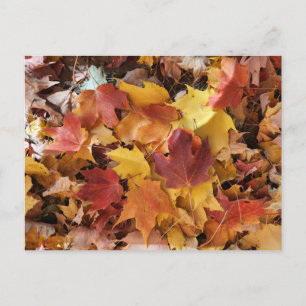 Postal Hojas de otoño ardiendo
