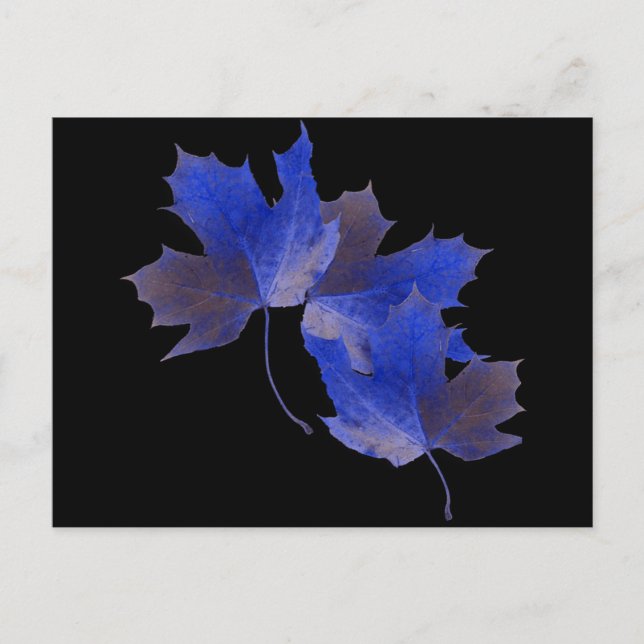 Postal Hojas de otoño azules (Anverso)