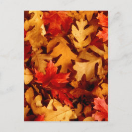 Postal Hojas de otoño - Color de otoño