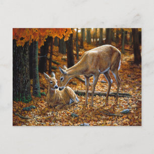 Postal Hojas de otoño de bonito Deer y Fawn