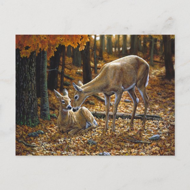 Postal Hojas de otoño de bonito Deer y Fawn (Anverso)