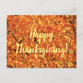 Postal Hojas de otoño en el árbol - fotografía.