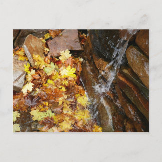 Postal Hojas de otoño en la cascada III Naturaleza otoñal