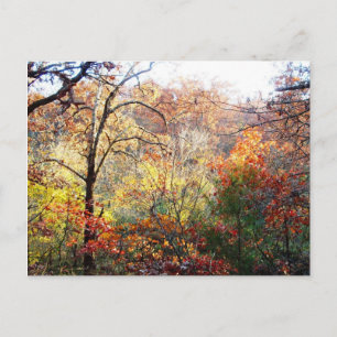 Postal Hojas de otoño en Misuri