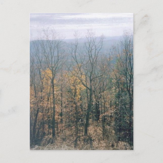 Postal Hojas de otoño (Georgia) (Anverso)