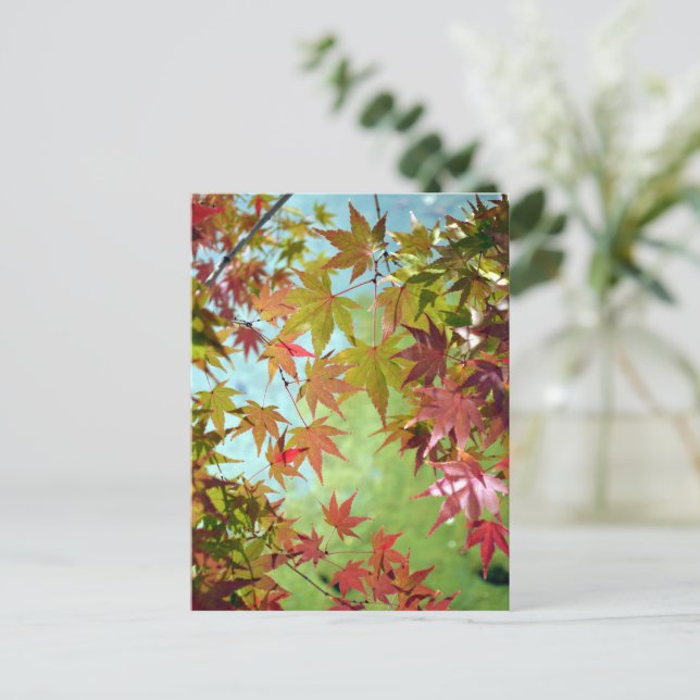 Postal Hojas de Otoño: Japón (Anverso de pie)