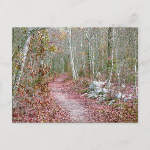 Postal Hojas de otoño rosadas Goat Rock Trail Arkansas