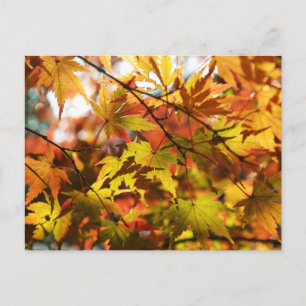 Postal Hojas de Otoño: Tokio