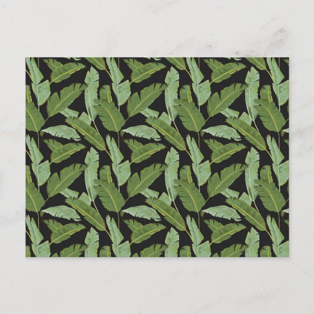 Postal Hojas de palma 2 (Anverso)