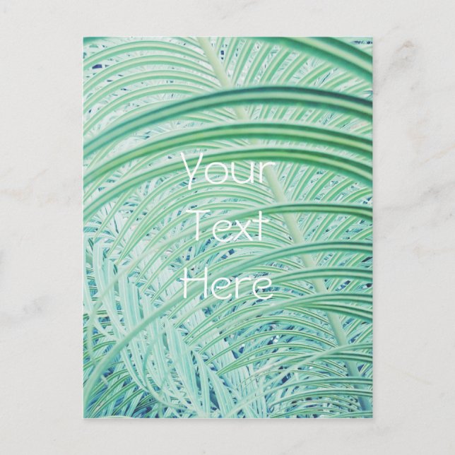 Postal Hojas de palma de la planta verde suave (Anverso)