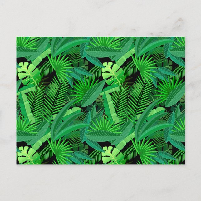 Postal Hojas De Palmeras Tropicales (Anverso)