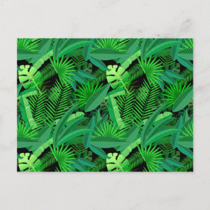 Postal Hojas De Palmeras Tropicales