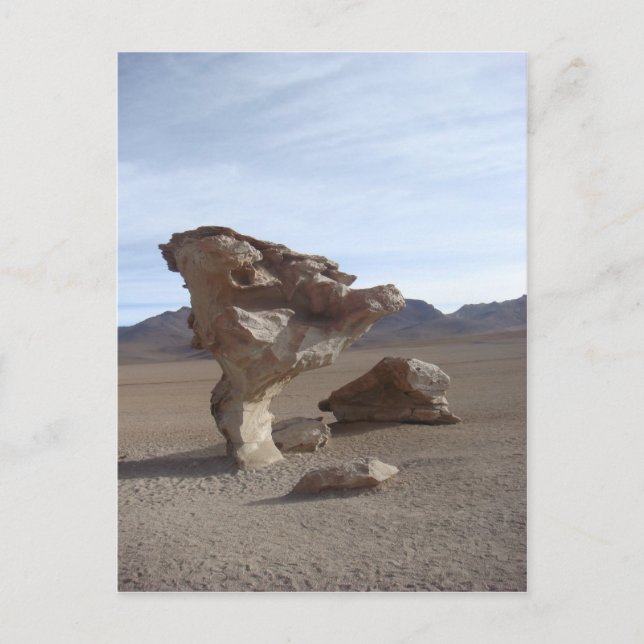Postal Hojas De Piedra (Anverso)