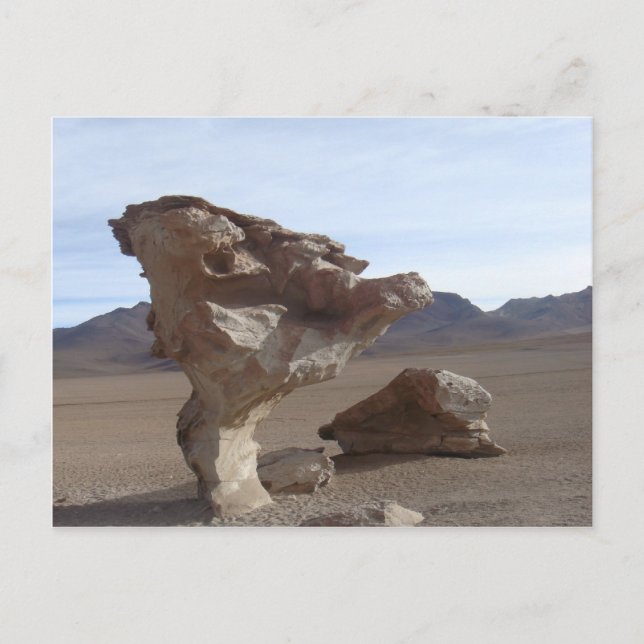 Postal Hojas De Piedra (Anverso)