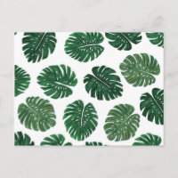 Hojas de planta de queso suizo pintadas a mano tro