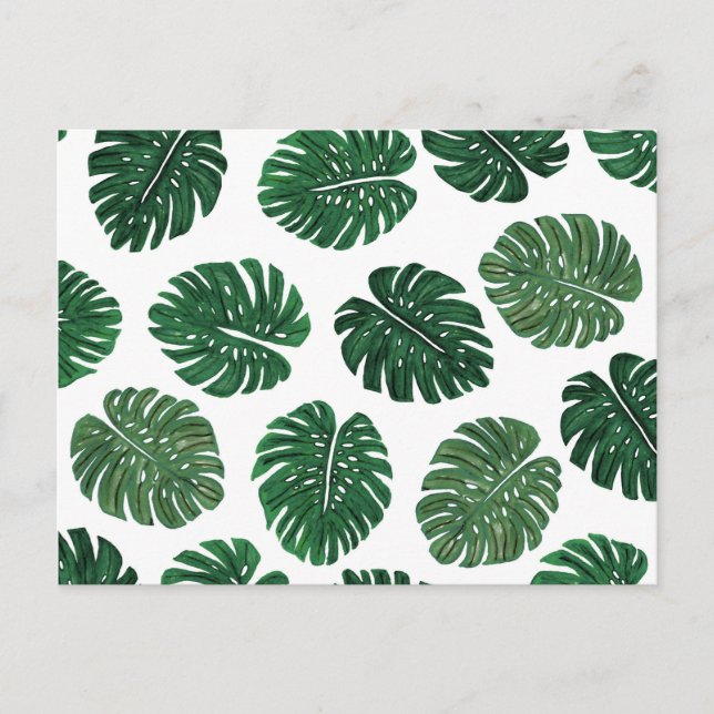 Postal Hojas de planta de queso suizo pintadas a mano tro (Anverso)