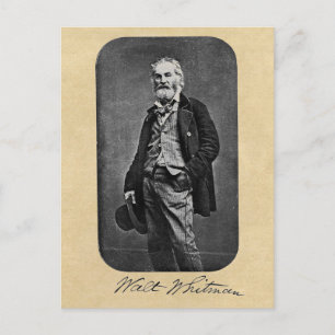 Postal Hojas de Walt Whitman del Frontispiece de la