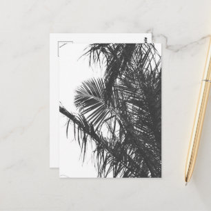 Postal Hojas Monocromáticas de Palm Tree Blanco Negro