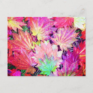 Postal Hojas otoñales