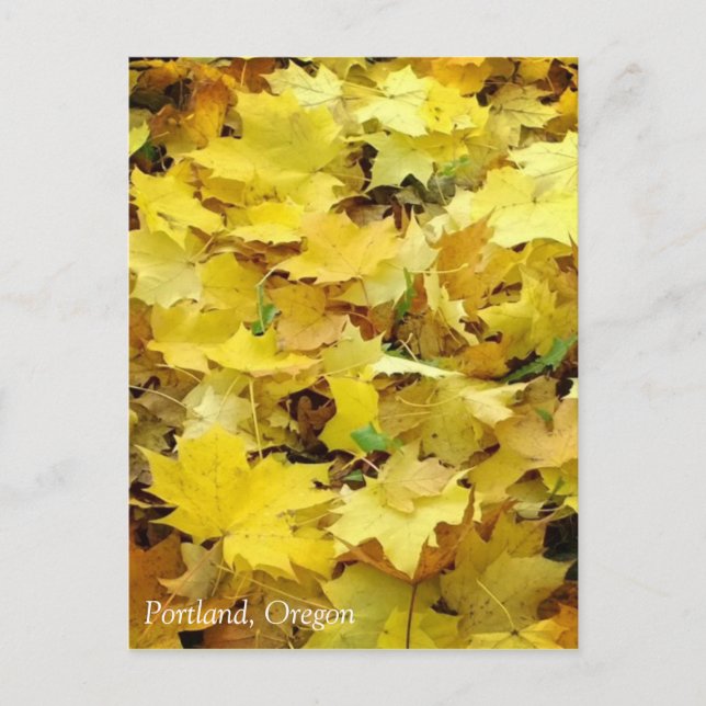 Postal Hojas otoñales amarillas (Anverso)