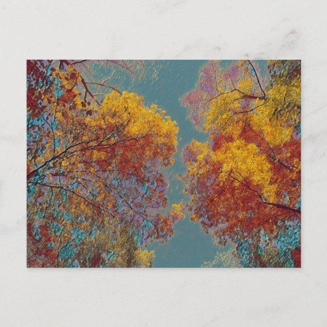 Postal Hojas rojas (Anverso)