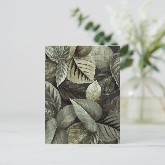 Postal Hojas tropicales 5 (Anverso de pie)