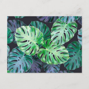 Postal Hojas tropicales de Monstera