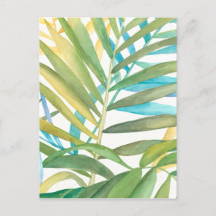 Postal Hojas tropicales de palmera