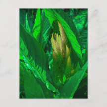Hojas Verdes con Espiga de Flor de Celosia Dorada