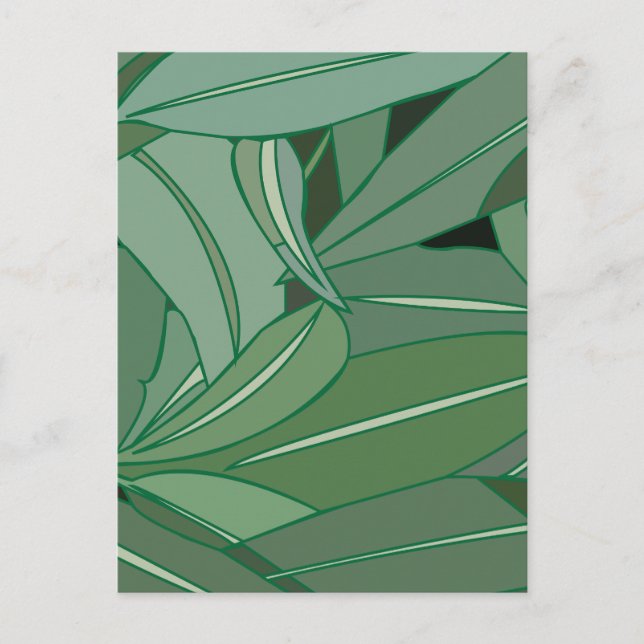 Postal Hojas verdes de eucalipto (Anverso)