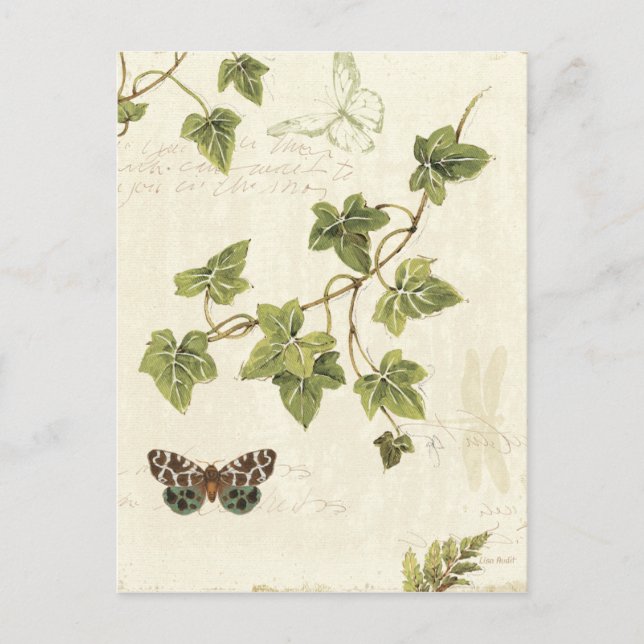 Postal Hojas y mariposa (Anverso)