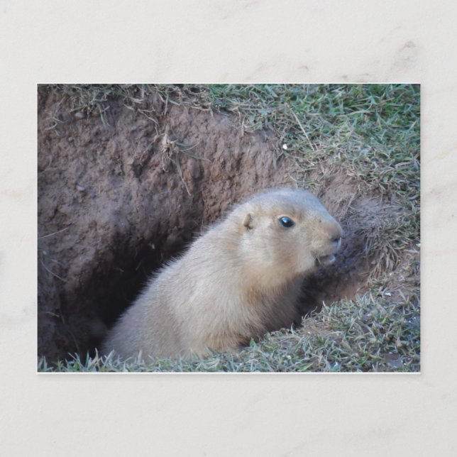 Postal Hola (Anverso)