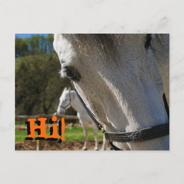 Postal ¡Hola! (Anverso)