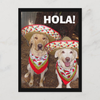 POSTAL ¡HOLA!