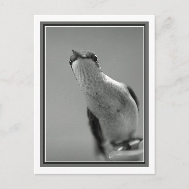 Postal Hola (Anverso)