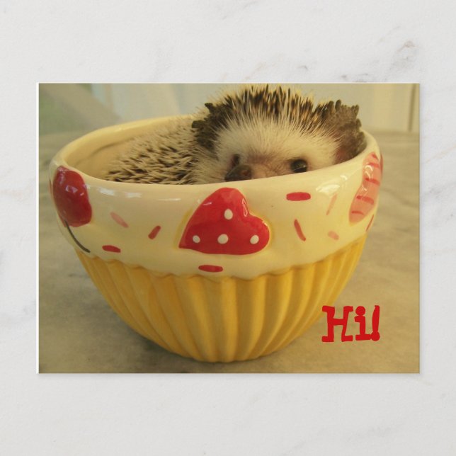 Postal ¡Hola! (Anverso)