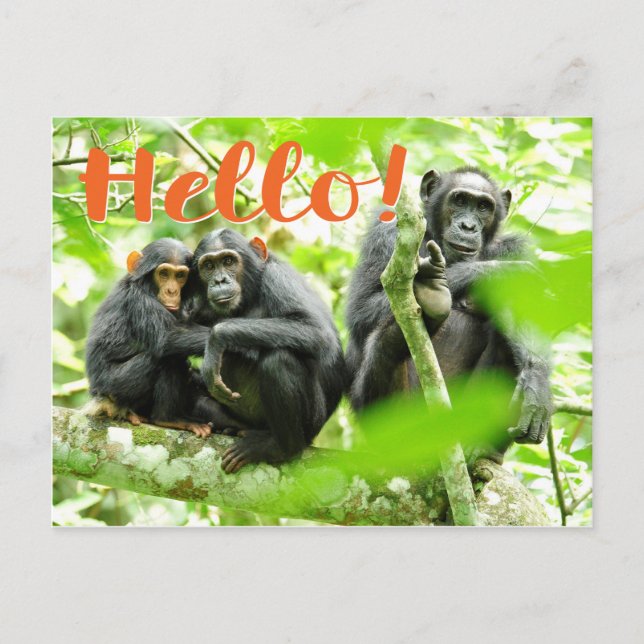 Postal ¡Hola! (Anverso)